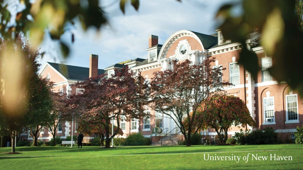 University of New Haven